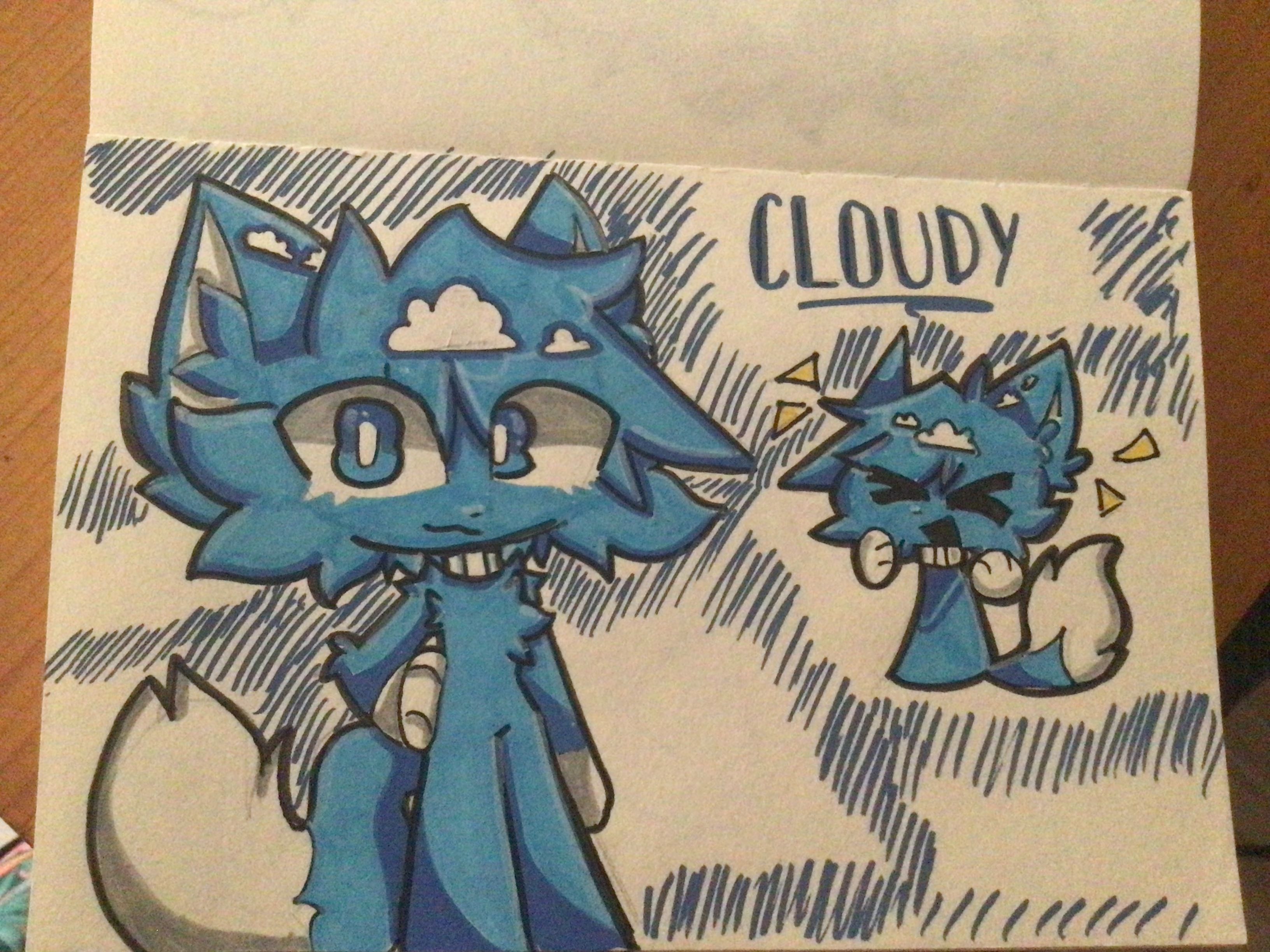 Cloudy drawn by my friend Coleen